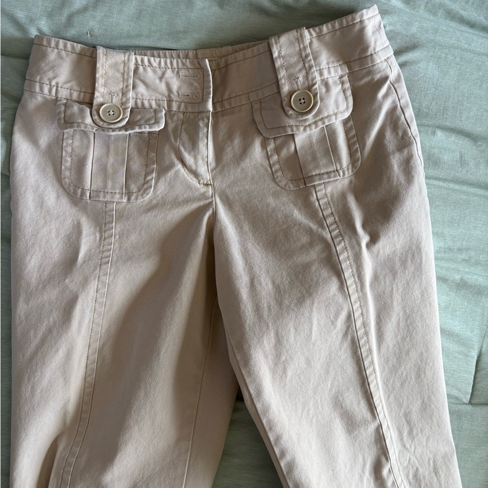 Anne Taylor Loft Slacks